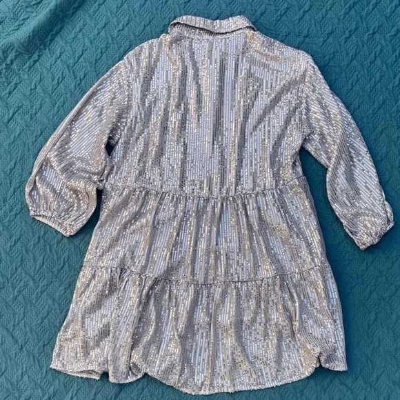 Maeve Shimmering Silver Pink Sequin Dress Anthropologie - Picture 5 of 8